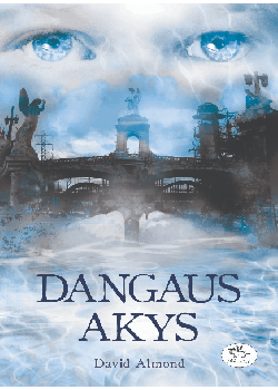 Dangaus akys — knygos viršelis
