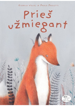 Prieš užmiegant — knygos viršelis