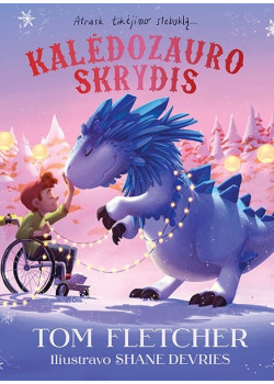 Kalėdozauro skrydis — knygos viršelis