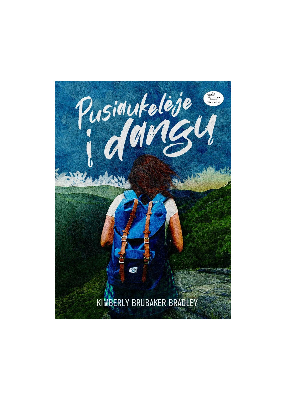 Pusiaukelėje į dangų — viršelis