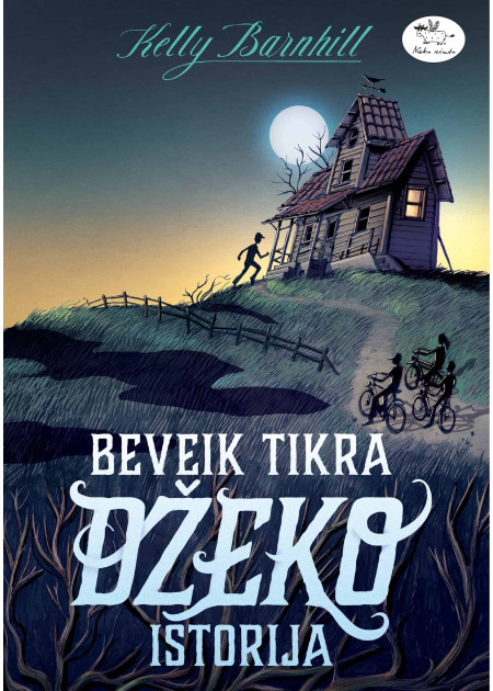 Beveik tikra Džeko istorija — viršelis