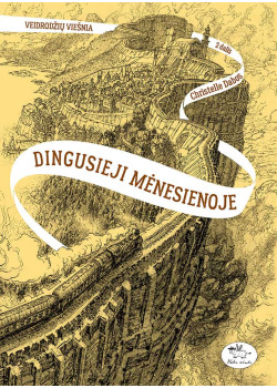 Dingusieji mėnesienoje. Veidrodžių viešnia (2) — knygos viršelis