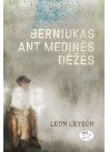 Berniukas ant medinės dėžės