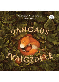 Dangaus žvaigždelė — knygos viršelis