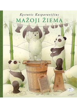 Mažoji žiema — knygos viršelis