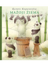 Mažoji žiema