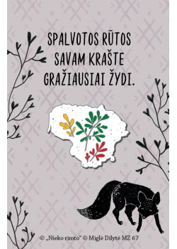 MZ67. Metalinis ženkliukas „Lietuva“ — knygos viršelis