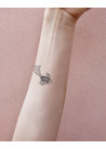 T35. Laikinos tatuiruotės „Vandenyno paslaptys“