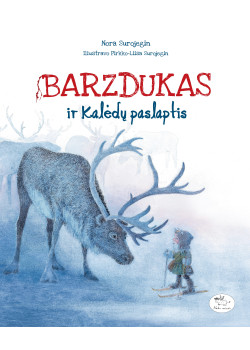 Barzdukas ir Kalėdų paslaptis — knygos viršelis