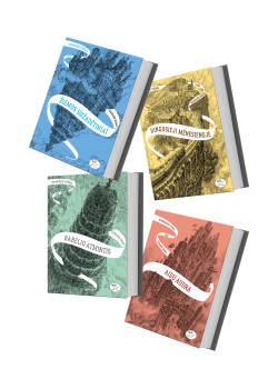Knygų rinkinys „Veidrodžių viešnia“ (1-4 dalys) — knygos viršelis
