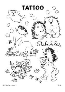 T41. Laikinos tatuiruotės „Stebuklas“ — knygos viršelis