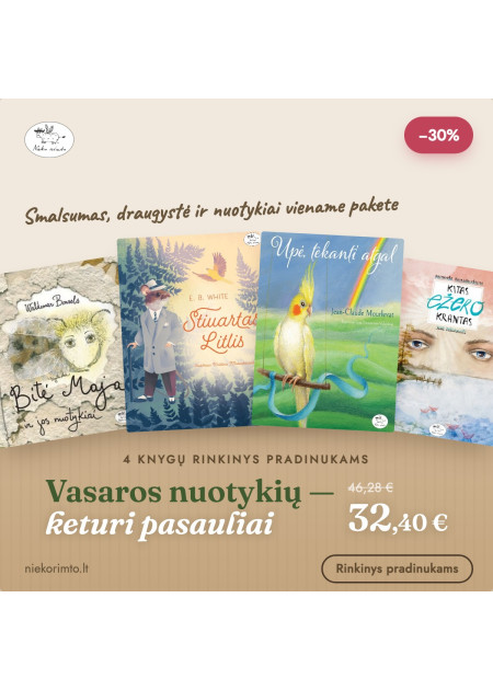 Pradinukams: Vasaros nuotykių — 4 knygų rinkinys | Nieko rimto