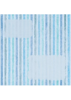 V38 — knygos viršelis