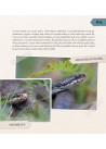 Visa tiesa apie gyvūnus