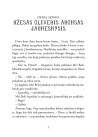 Tiltas į Terabitiją