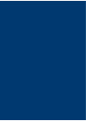 Tiltas į Terabitiją