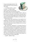 Nindzė Timis ir ledo miestas (5)