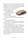 Nindzė Timis ir ledo miestas (5)