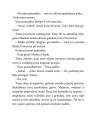 Nindzė Timis ir ledo miestas (5)