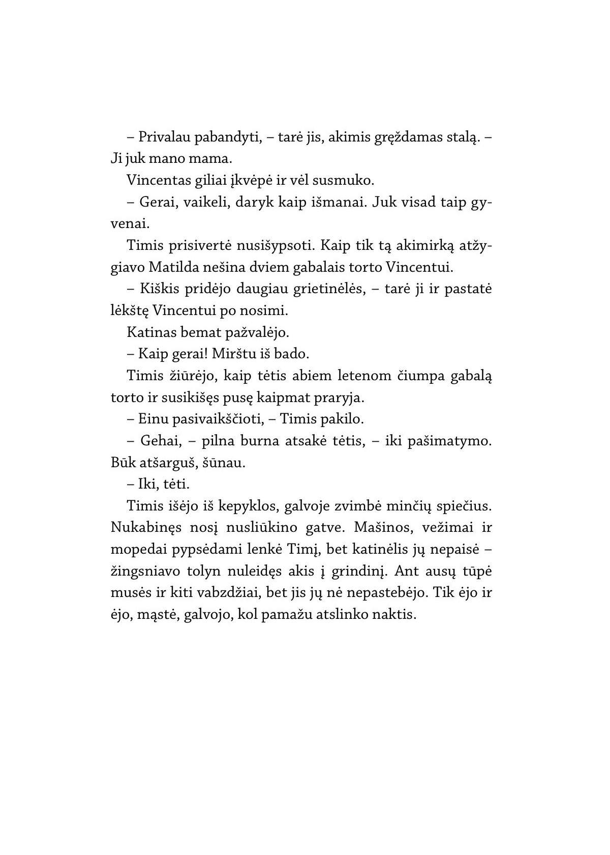 Nindzė Timis ir ledo miestas (5)