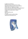 Vilkolakiukas Dolfas. Ežero pabaisa (13)