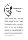 Seklys Noselė. Vagystė iš muziejaus