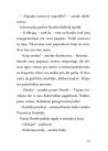 Seklys Noselė. Vagystė iš muziejaus
