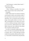 Seklys Noselė. Vagystė iš muziejaus