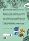 Babelio atmintis. Veidrodžių viešnia (3)