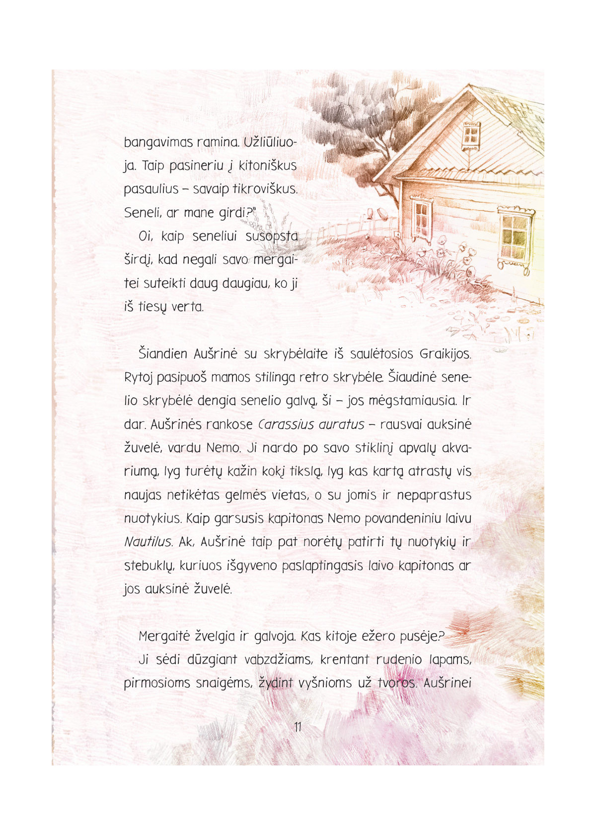 Kitas ežero krantas