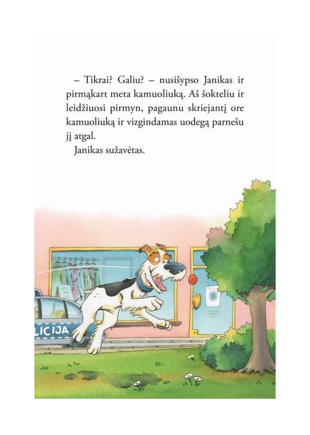 Komisaras Letena. Padegėjo medžioklė (8)