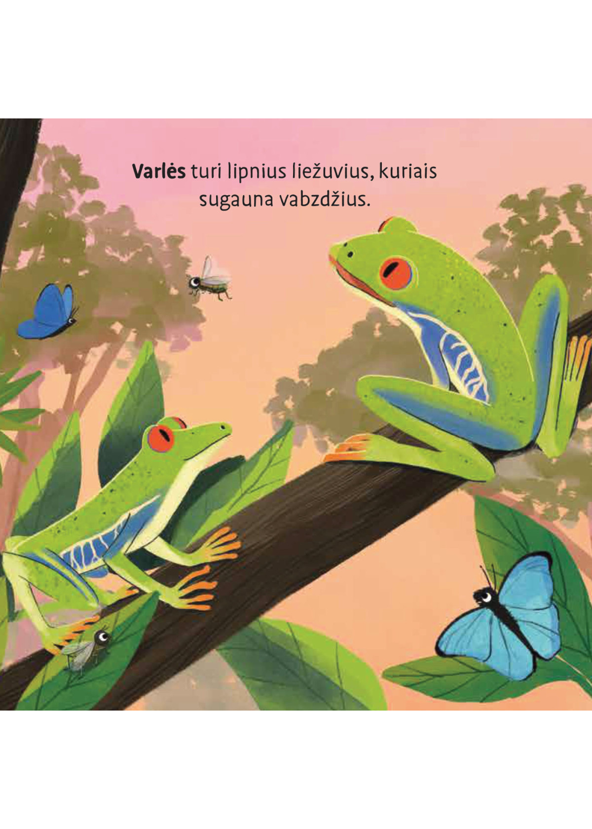 Dovanų rinkinys „Džiunglės“