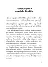 Ulfas ir povandeninis miestas (su autografu)