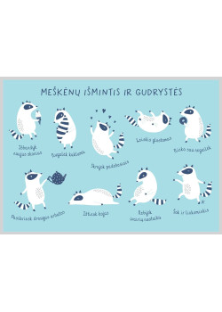 AMV228 Meškėnų išmintis — knygos viršelis