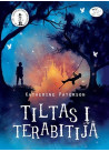 Tiltas į Terabitiją