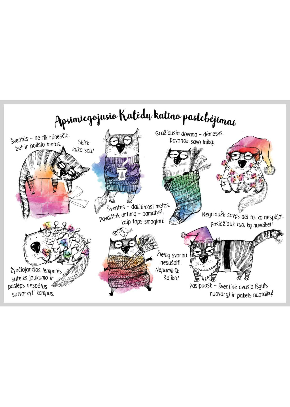 AMV 250. Apsimiegojusio Kalėdų katino pastebėjimai